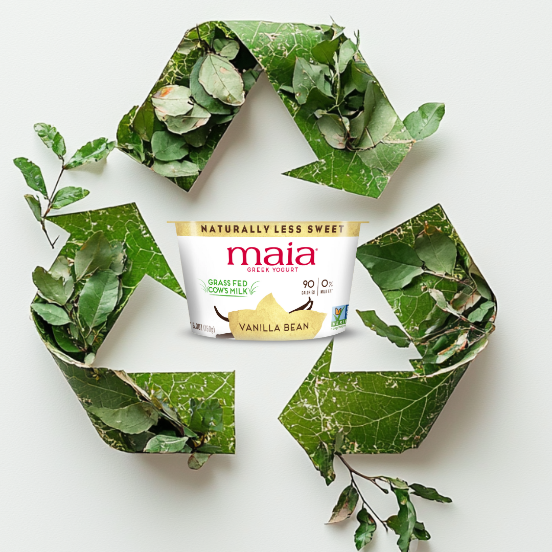 Maia 100% grass fed yogurt cups in vanilla bean, strawberry and blueberry